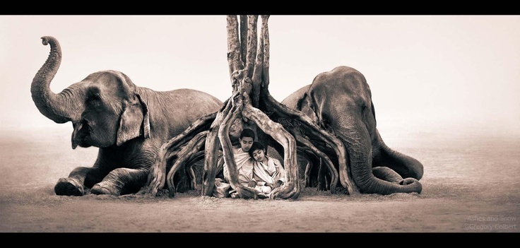 5aaf4f1578c26d14a8cfae6b7886a9b4