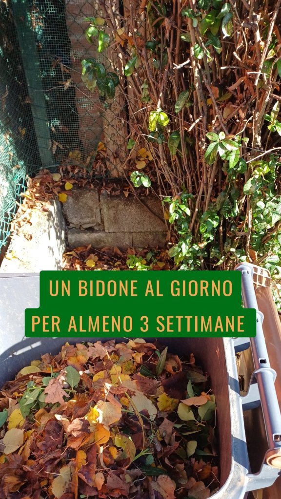 Un bidone al giorno per almeno 3 settimane